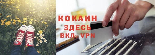 метадон Алексин