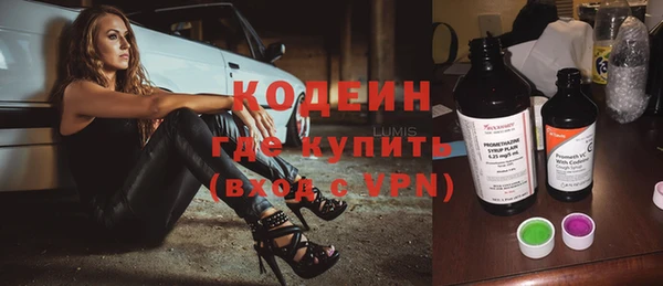 индика Алзамай