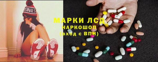 индика Алзамай