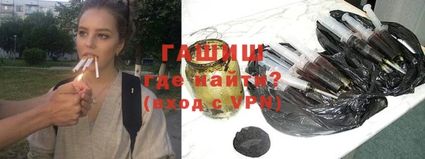 индика Алзамай