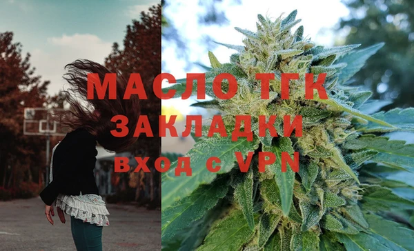 гидра Кодинск