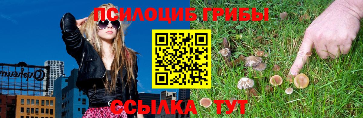 Псилоцибиновые грибы прущие грибы  Псилоцибиновые грибы мицелий  Вход с VPN  Полевской 