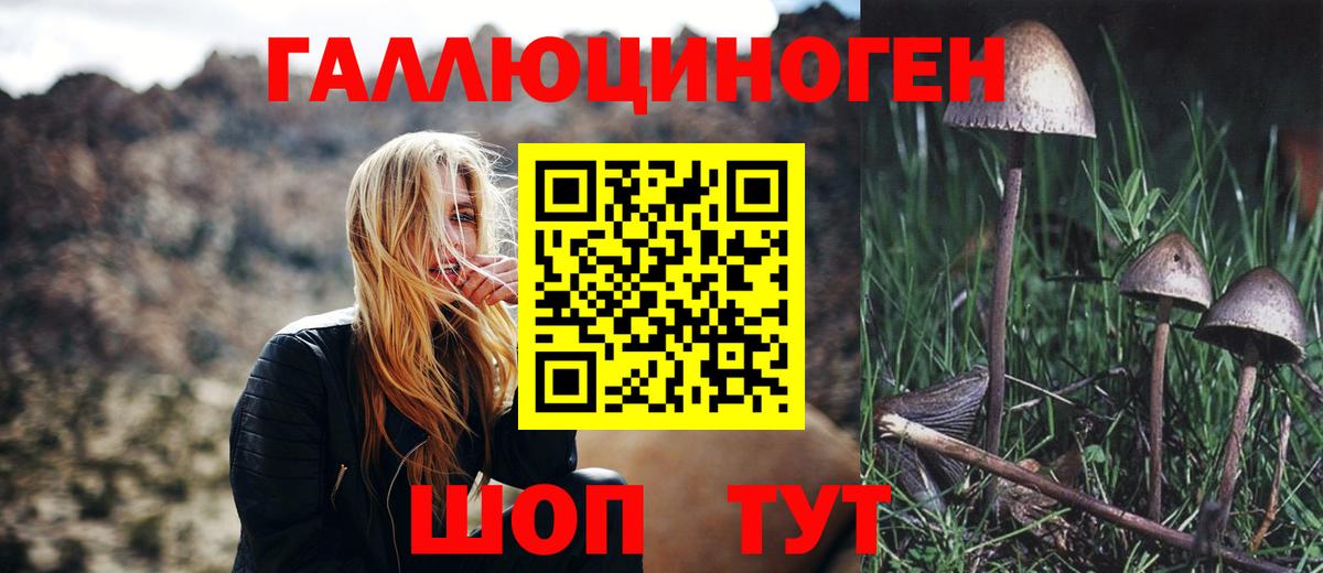 Галлюциногенные грибы ЛСД Полевской