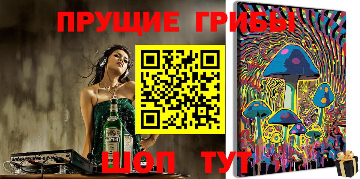 Псилоцибиновые грибы Psilocybe Полевской